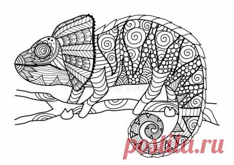 Hand Drawn Chameleon Zentangle Style For Coloring Book, Shirt Design Effect, Logo, Tattoo And Other Decorations. Stock Vector - Illustration of camouflage, amphibian: 60693692 Illustration about Hand drawn chameleon zentangle style for coloring book, shirt design effect, logo, tattoo and other decorations. Illustration of camouflage, amphibian, image - 60693692