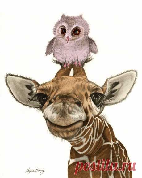 The Giraffe and The Owl 8x10 print from my | Etsy