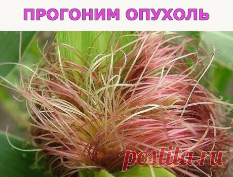 ПРОГОНИМ ОПУХОЛЬ / Западло