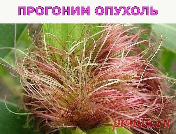 ПРОГОНИМ ОПУХОЛЬ / Западло