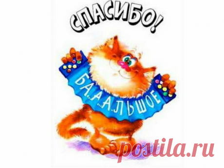 Марафон &quot;Худеем, не спеша&quot;. Двенадцатый день: просто советы при снижении веса | Дамы, давайте худеть вместе | Яндекс Дзен