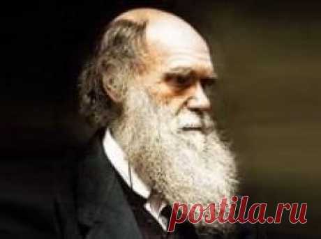 Сегодня 12 февраля в 1809 году родился(ась) Чарльз Дарвин