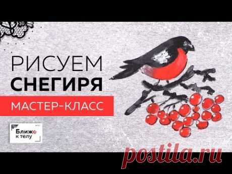 Рисуем снегиря на ткани. Мастер-класс по росписи одежды акриловыми красками.