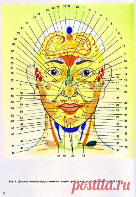 Болезни внутренних органов - взаимосвязи с реакцией кожи на лице