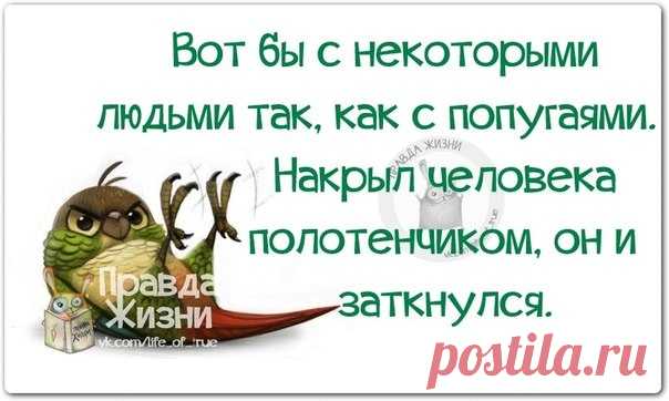 Правда Жизни | Юмор, Мотивация, Сарказм, Цитаты
