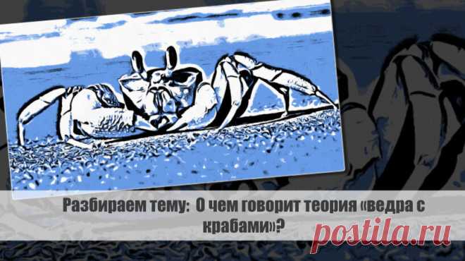 Разбираем тему: О чем говорит теория «ведра с крабами»? Статья автора «VestiNews.