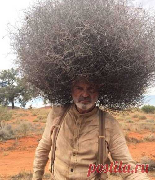 Немного фотоприколов