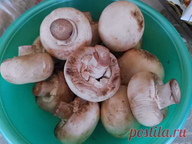 Шампиньоны — грибы с самым слабым вкусом (и дешевые). Рассказываю, как я придаю им вкус дорогих белых грибов | Соль | Перец | Яндекс Дзен