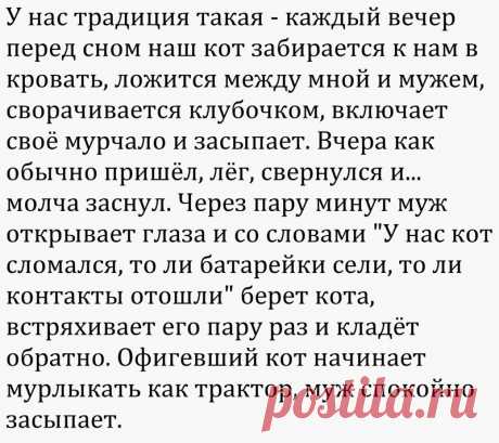 Смешные комментарии и высказывания из социальных сетей (37 фото) | Чёрт побери Очередная подборка смешных высказываний и комментариев из социальных сетей и других частей интернета.