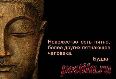 Цитаты о невежестве !.