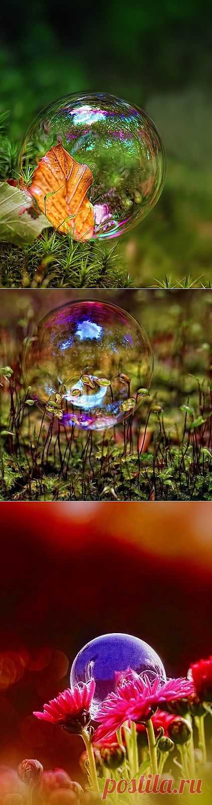 Мыльные пузыри от фотографа Kent Mathiesen.