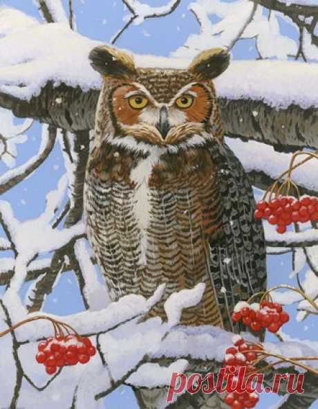 Great-horned Owl Fine Art Print by William Vanderdasson at FulcrumGallery.com