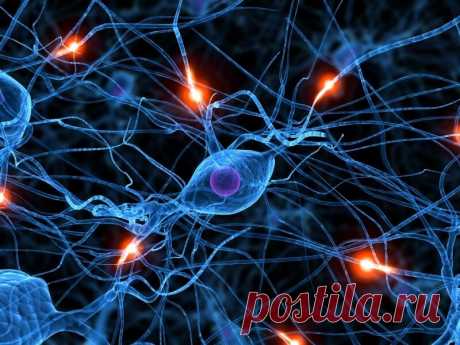 Болезнь Паркинсона: медленная гибель нервных клеток