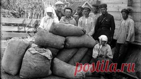 В страшном голоде 1932-33 годов, охватившем южные районы СССР, включая Украину, были повинны не только власти, но и сами крестьяне. Несколько лет в стране происходило тотальное уничтожение скота – люди буквально объедались мясом.