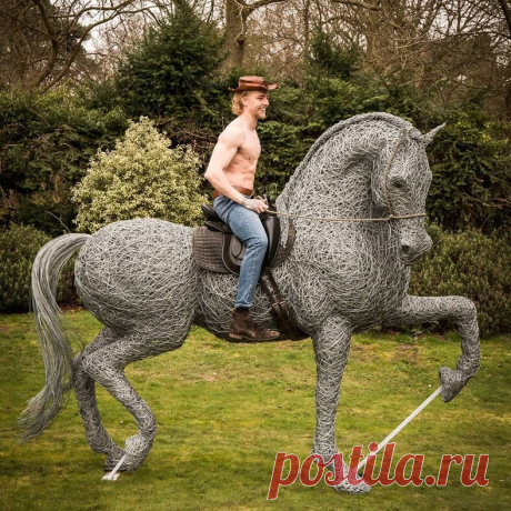Лошадь из проволоки в полный рост: девушка создает максимально реалистичные скульптуры животных, и эти снимки как доказательство — блог туриста ni-oca на Туристер.Ру