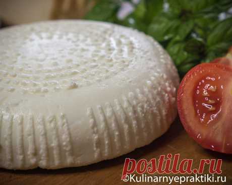 Самый простой домашний сыр. 2 способа приготовления адыгейского сыра в городских условиях из пастеризованного молока | Кулинарные практики | Дзен