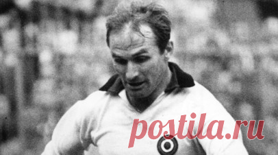 Умер последний участник финала чемпионата мира по футболу 1958 года Хамрин. Бывший футболист сборной Швеции Курт Хамрин скончался в возрасте 89 лет. Читать далее