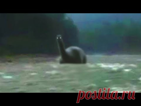 Посмотрите, на Камеру Сняли Самое Опасное Существо Амазонки