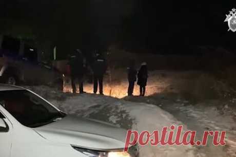 Появилось видео с места гибели ставшей жертвой собак семилетней россиянки. Следственный комитет России (СКР) опубликовал видео с места гибели семилетней россиянки в Забайкальском крае. Ролик размещен на официальном канале ведомства в YouTube. На видео запечатлен занесенный снегом пустырь в поселке Домна, где было обнаружено тело ребенка. В кадр попали личные вещи девочки.