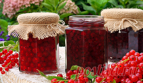 Умные помощники на дачу :: Цветущая дача