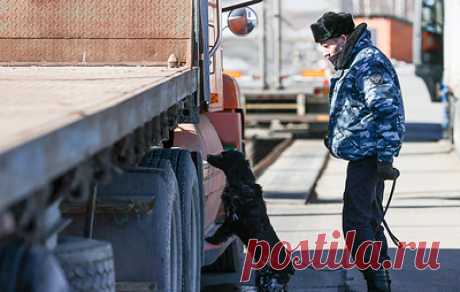 В Приморье на российско-китайской границе открыли пункт пропуска &quot;Полтавка&quot;. Пока он обслуживает только грузовой транспорт