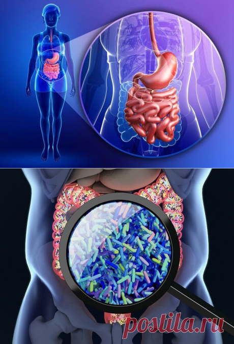 Признаки того, что микрофлора кишечника не в порядке / Будьте здоровы