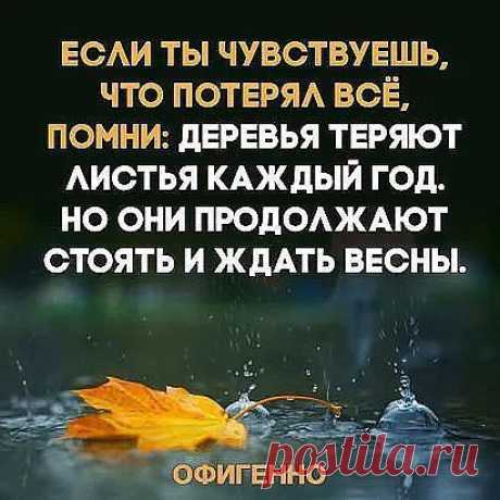 Яндекс.Почта — бесплатная и надежная электронная почта