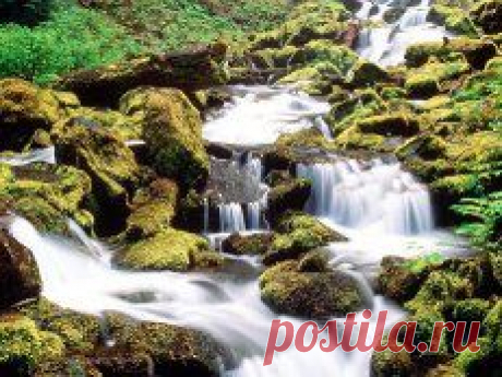 картинки природа красивые - 484 тыс. картинок. Поиск Mail.Ru