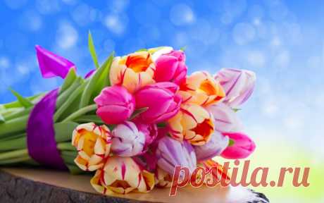 Обои на рабочий стол Цветы:Nature, Flowers, Flower, Colorful, Tulips, Bouquet - . | Обои-на-стол.com