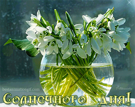 (3) Мой Мир@Mail.Ru