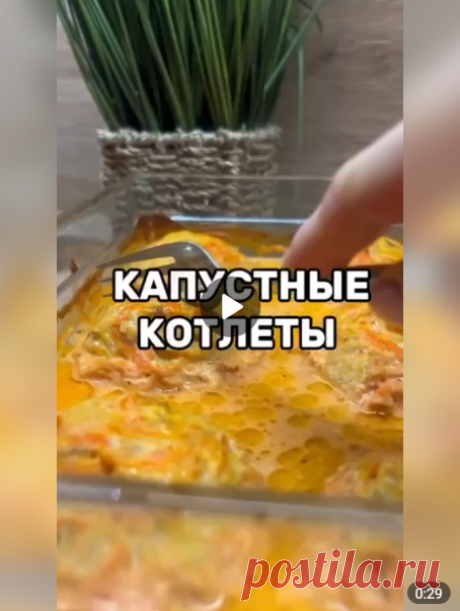 Вкуснейшие капустные ПП-котлеты на скорую руку

👉🏻КБЖУ на 100 гр: 86.5/4.5/1.6/13.4

Ингредиенты:

• куриный фарш 300-400 гр
• морковь
• лук
• яйца 2 шт
• капуста 250-400 гр
• соль по вкусу
• приправа
• сметана 2-3 ст.л
• кетчуп 2-3 ст.л
• вода