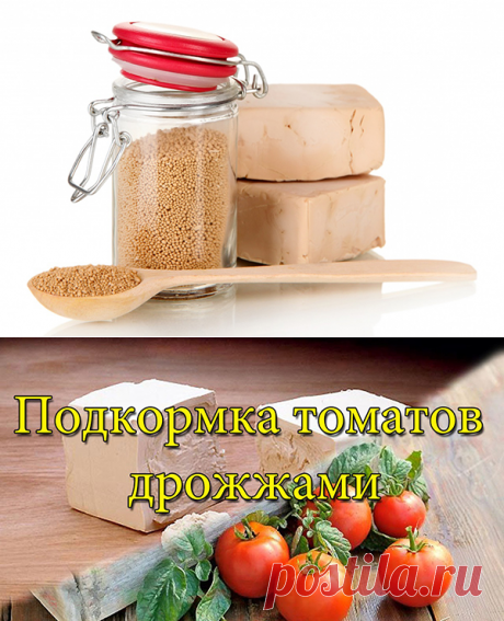 цветочки в садочке | любовь Гущина | Фотографии и советы на Постиле