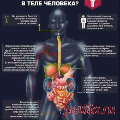 Вы правильно пьёте алкоголь? - МирТесен