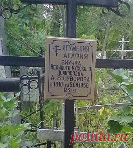 (31) Facebook