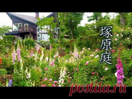 【Private Residence】 Ms.Michiko Tsukahara's Residence. MF Garden w/Mount Fuji. 塚原邸 #富士山 #オープンガーデン