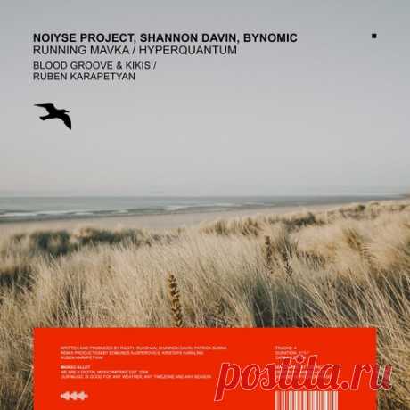 NOIYSE PROJECT, Shannon Davin, Bynomic – Running Mavka / Hyperquantum [ALLEY184] - DJ-Source.com