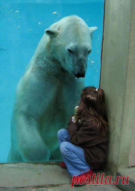 h-13862.jpg (427×604)