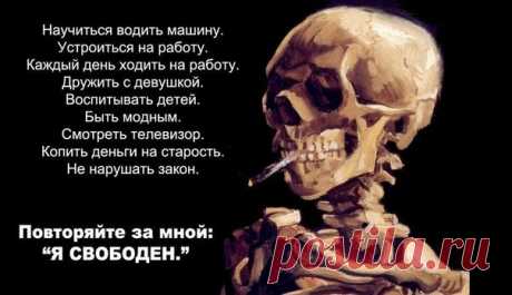 Ты все еще считаешь себя свободным? (Ре.) ▪Я шёл по супермаркету и увидел акцию, две бутылки кока-колы по цене одной. И тут меня осенил инсайд, которым я взрываю многих присутствующих. Всех людей, которые стремятся к успеху, деньгам и статусу, обманули. Тут уже тысячи раз приводились нищета-аргументы, которые основывались на ненужности дорогих вещей, но дело даже не в этом. Вот акция с кока-колой. Идёт человек по супермаркету и… две колы по цене одной, и он захотел. ▪Но, когда он шёл ему не…