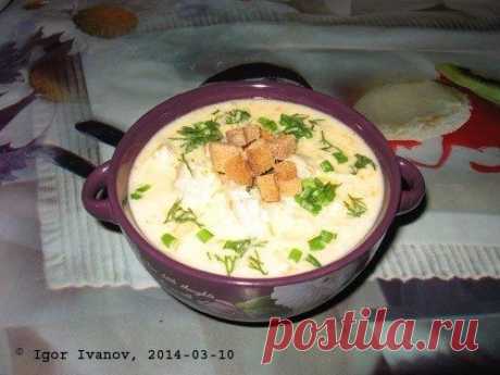 Как приготовить сырный суп с курицей. - рецепт, ингридиенты и фотографии