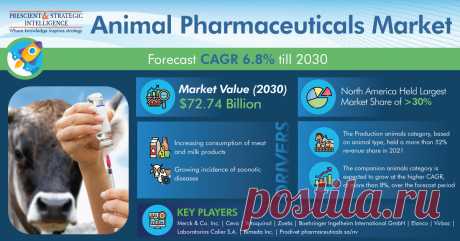 The global animal pharmaceuticals market size stood at roughly $40.07 billion in 2021, and it is set to reach $72.74 billion by 2030, growing at a CAGR of 6.8% during 2021–2030. The major factors credited for the rising demand for veterinary drugs are the increasing consumption of meat and milk products, booming pet adoption trend, and growing incidence of zoonotic diseases.