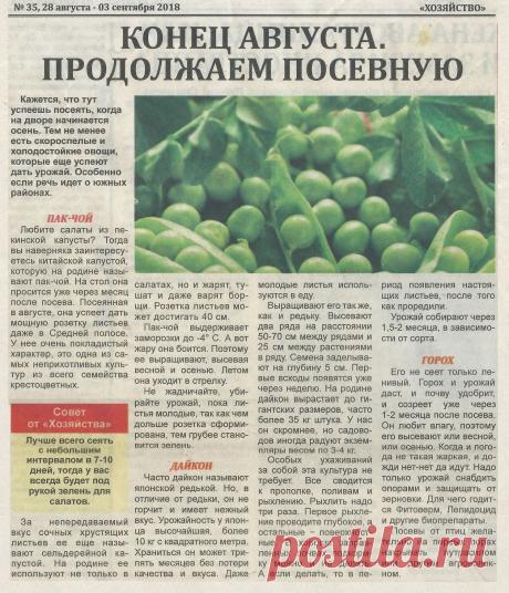 Конец августа, продолжаем посевную