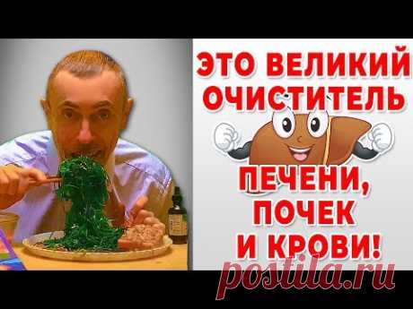 ЭТО ВЕЛИКИЙ ОЧИСТИТЕЛЬ ПЕЧЕНИ, ПОЧЕК И КРОВИ! Щитовидная, йод, простата, аденома  Формула 95.