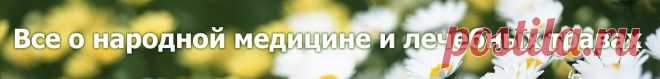 Отвар овса для печени: польза овса и противопоказания