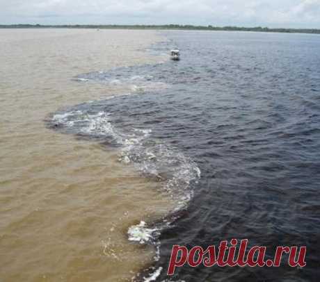Несмешивающиеся воды.