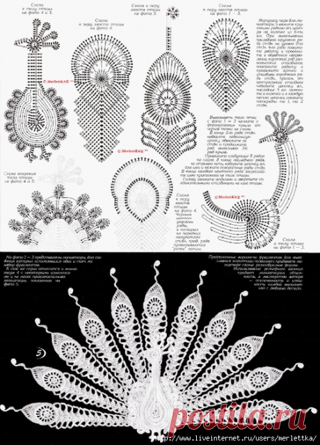 Вязание крючком - Жар - птицы в ирландском кружеве