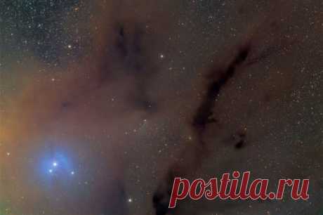 Темная пыль, подсвеченная яркой желтой звездой Антаресом, выделяется на этом фотогеничном звездном пейзаже южного неба / Astro Analytics