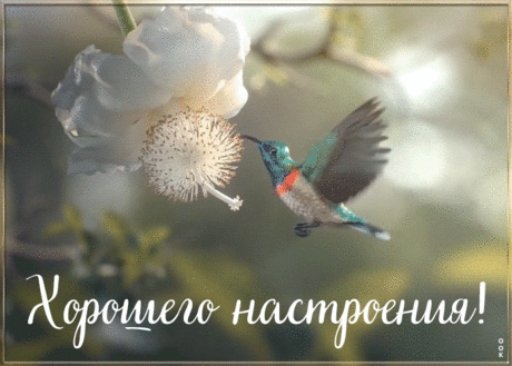 Анимация с пожеланием хорошего настроения