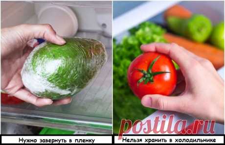 5 советов по готовке и хранению продуктов, чтобы не приходилось выбрасывать еду в мусорное ведро Вне зависимости от того, сколько человек в вашей семье, вопрос разумного потребления продуктов стоит очень остро. Novate.ru делится несколькими полезными советами, которые помогут продлить...