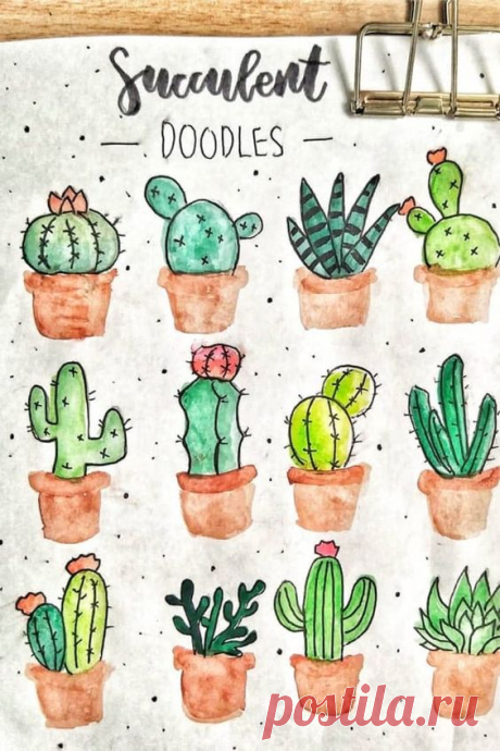 If you're looking to decorate your bullet journal then you need to check out these adorable cactus and succulent doodle tutorials for inspiration!
