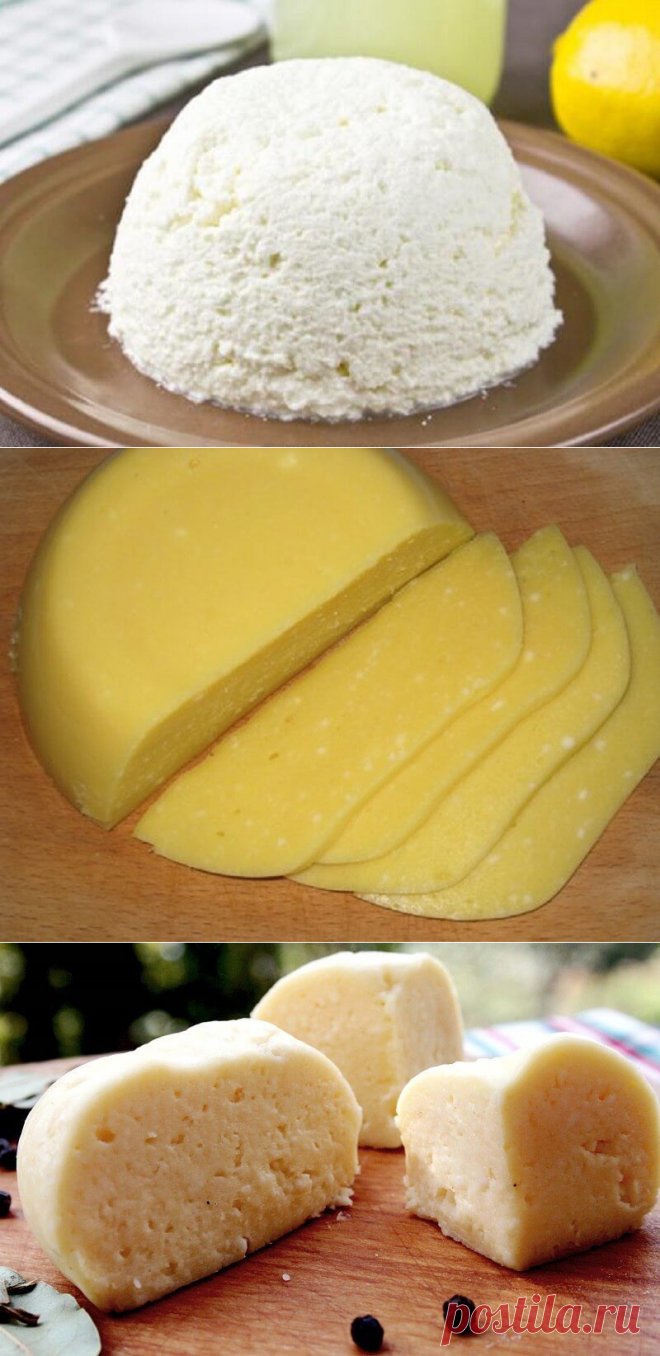 Можно сделать сыр в домашних условиях. Приготовление сыра. Домашний сыр приготовление. Сыр мягкий домашний. Сыр в домашних условиях.